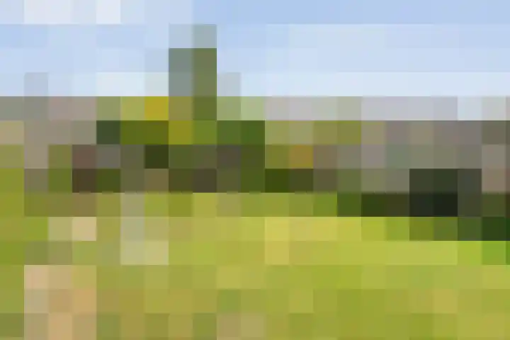 Broenenstraat 31 Geesteren thumbnail 4