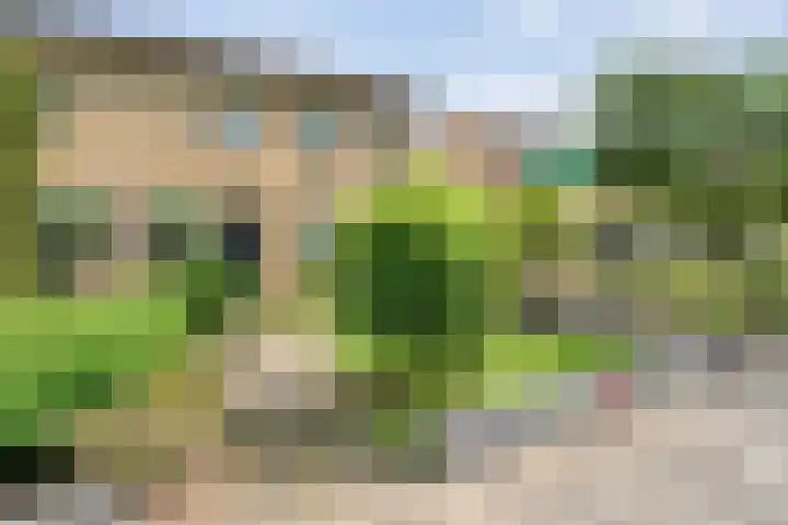 Broenenstraat 31 Geesteren thumbnail 5