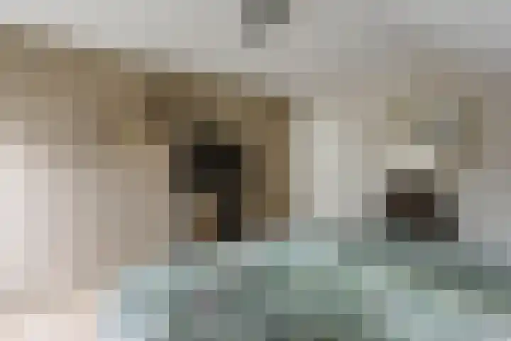 Broenenstraat 4 Geesteren thumbnail 14