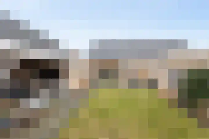 Broenenstraat 4 Geesteren thumbnail 17