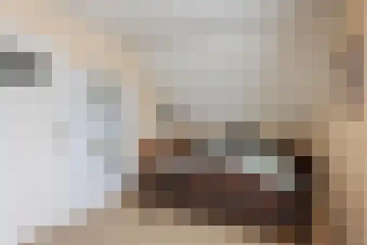 Broenenstraat 5 Geesteren thumbnail 17
