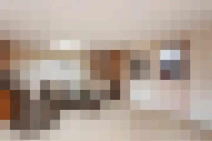 Broenenstraat 5 Geesteren thumbnail 22