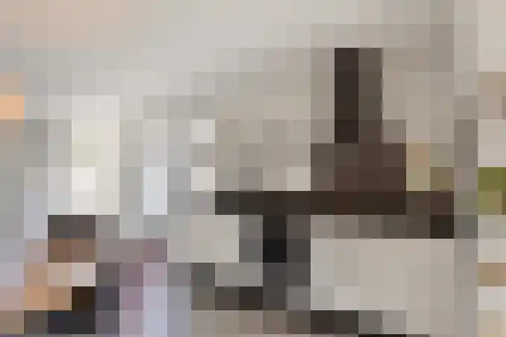 Broeninkskamp 41 Beuningen thumbnail 12