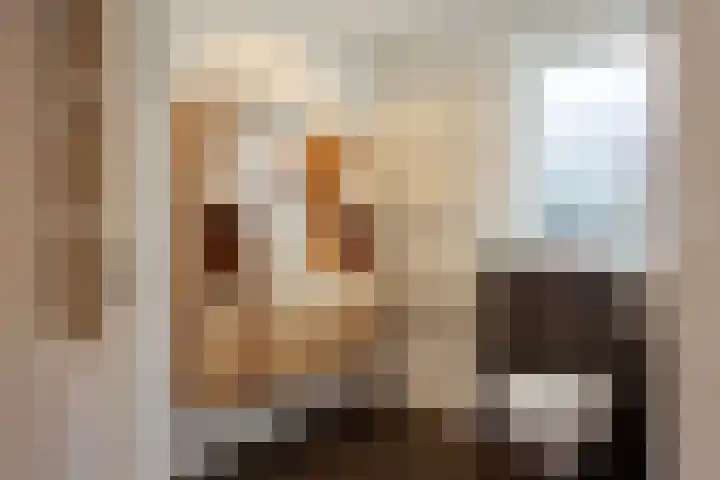 Broeninkskamp 41 Beuningen thumbnail 19