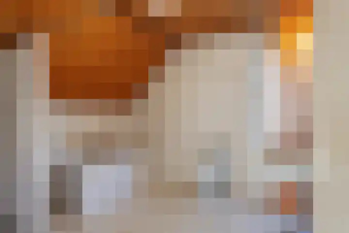 Broeninkskamp 41 Beuningen thumbnail 26