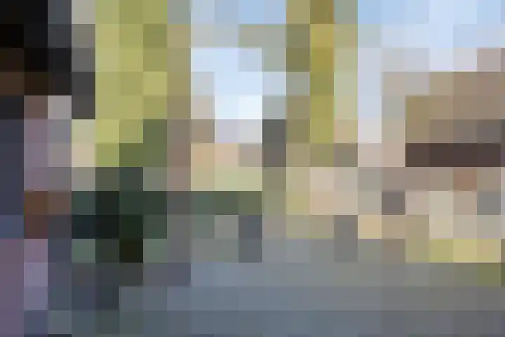 Broeninkskamp 41 Beuningen thumbnail 35