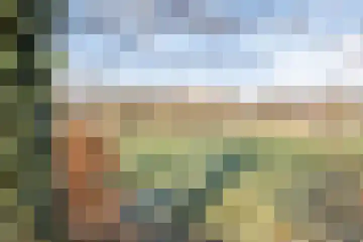Broeninkskamp 41 Beuningen thumbnail 39