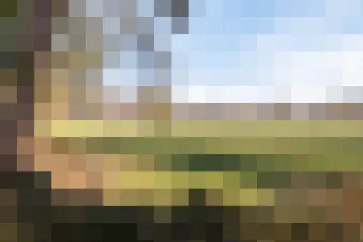 Broeninkskamp 41 Beuningen thumbnail 45