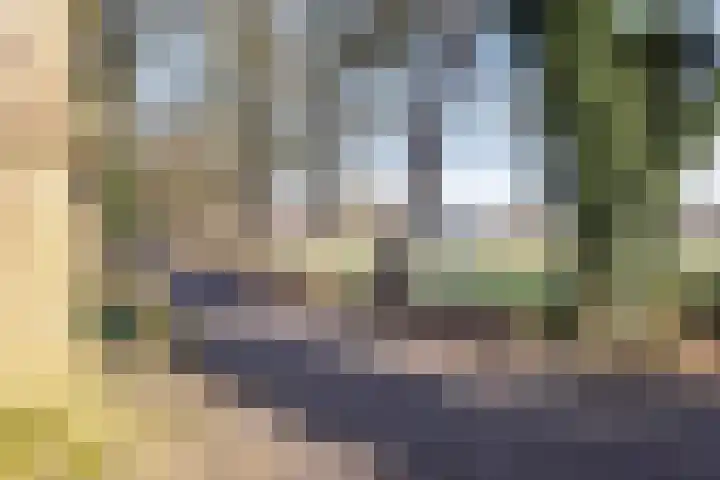 Broeninkskamp 41 Beuningen thumbnail 46