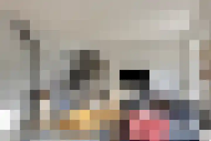 Broeninkskamp 41 Beuningen thumbnail 7