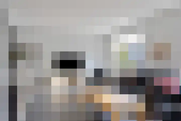 Broeninkskamp 41 Beuningen thumbnail 9