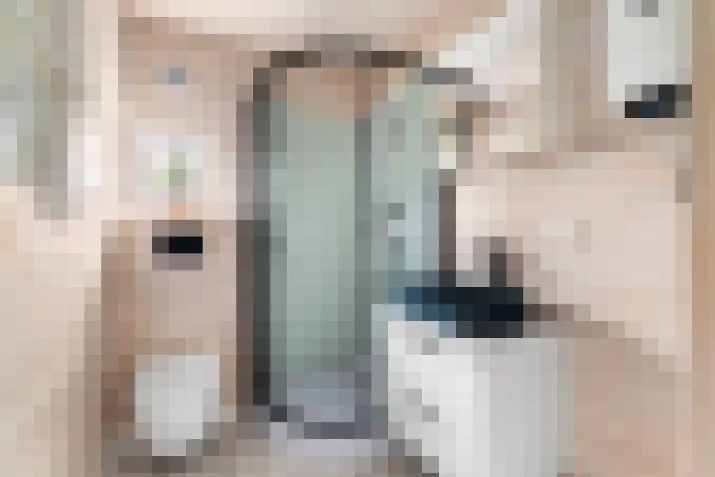 Broenkoel 4 Kerkrade thumbnail 10