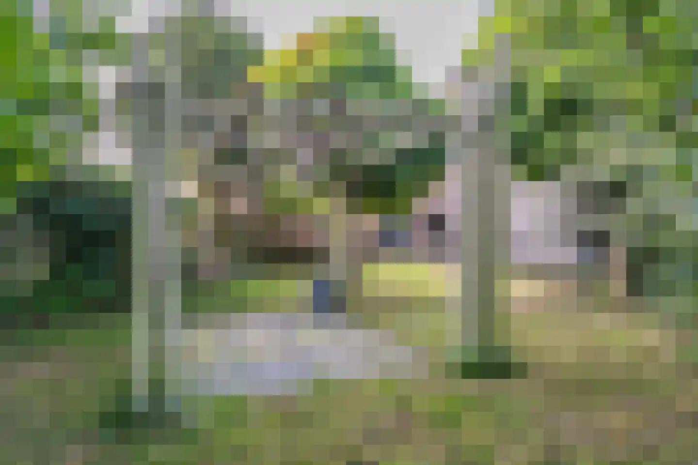 Broensdel 14 Merkelbeek thumbnail 30
