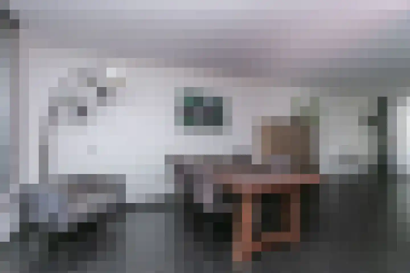Broensdel 14 Merkelbeek thumbnail 9
