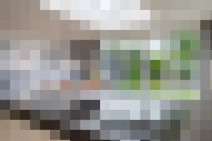 Broenshofweide 10 Helmond thumbnail 24