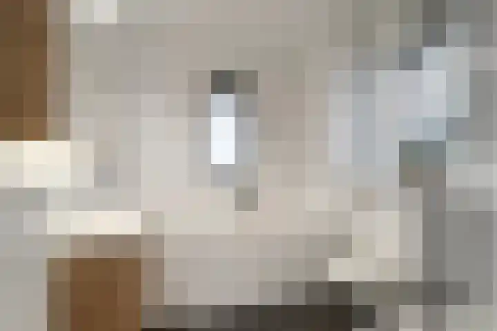 Broenshofweide 10 Helmond thumbnail 32