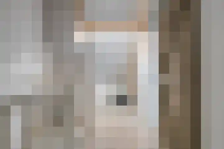 Broenshofweide 10 Helmond thumbnail 36