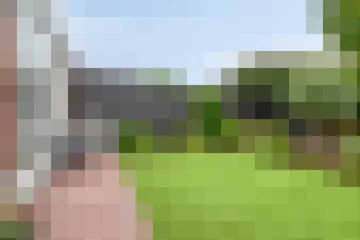 Broenshofweide 10 Helmond thumbnail 42