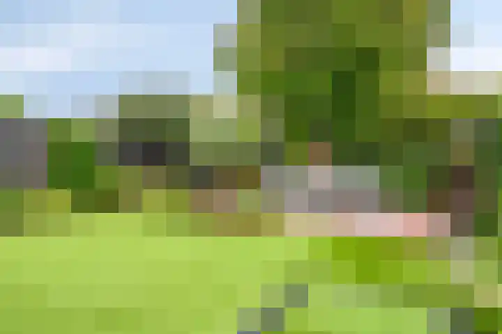 Broenshofweide 10 Helmond thumbnail 43