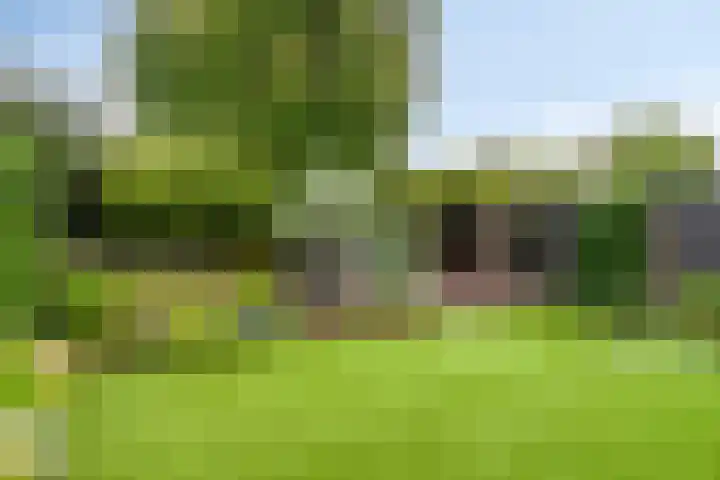 Broenshofweide 10 Helmond thumbnail 44