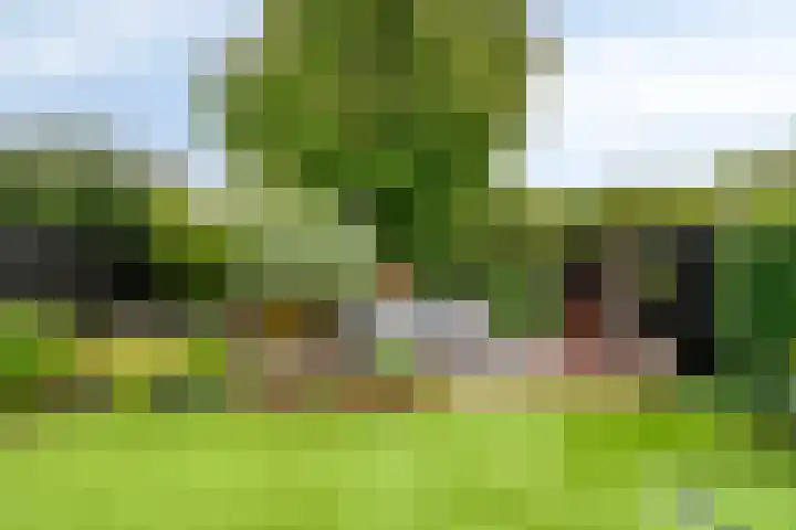 Broenshofweide 10 Helmond thumbnail 45
