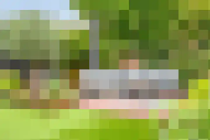 Broenshofweide 10 Helmond thumbnail 46