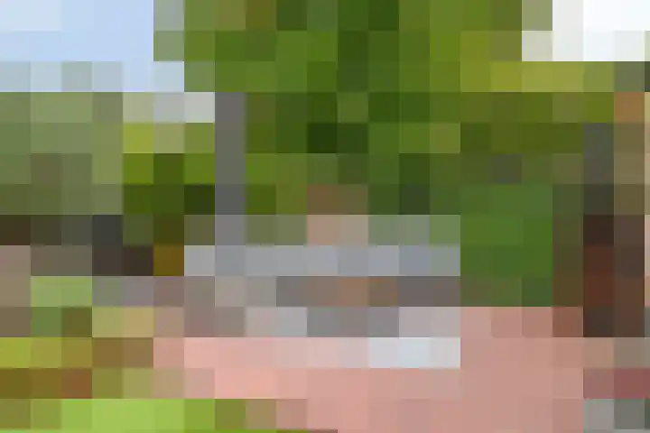 Broenshofweide 10 Helmond thumbnail 47