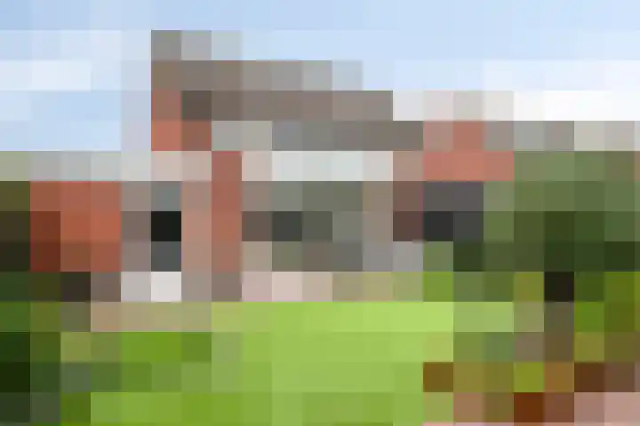 Broenshofweide 10 Helmond thumbnail 48