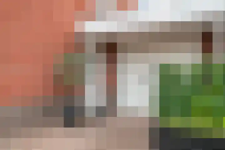 Broenshofweide 10 Helmond thumbnail 5