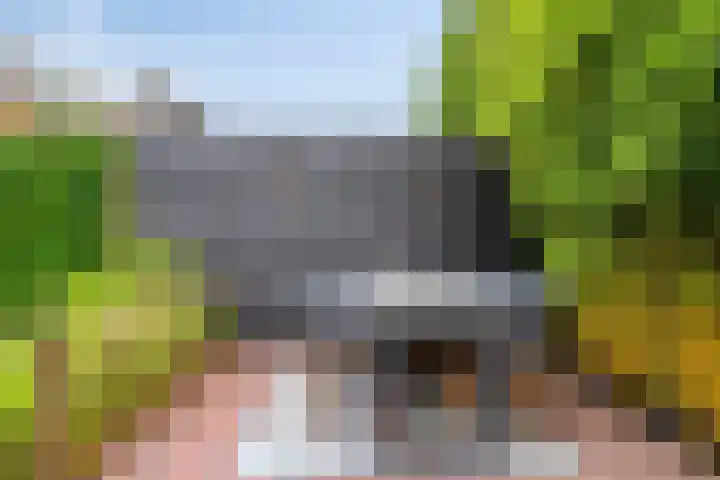 Broenshofweide 10 Helmond thumbnail 50