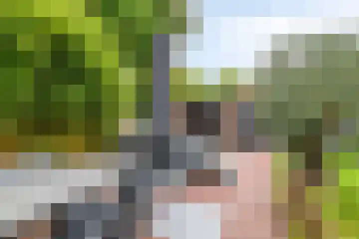 Broenshofweide 10 Helmond thumbnail 51