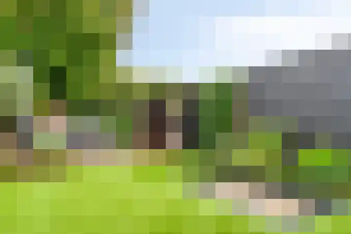Broenshofweide 10 Helmond thumbnail 53