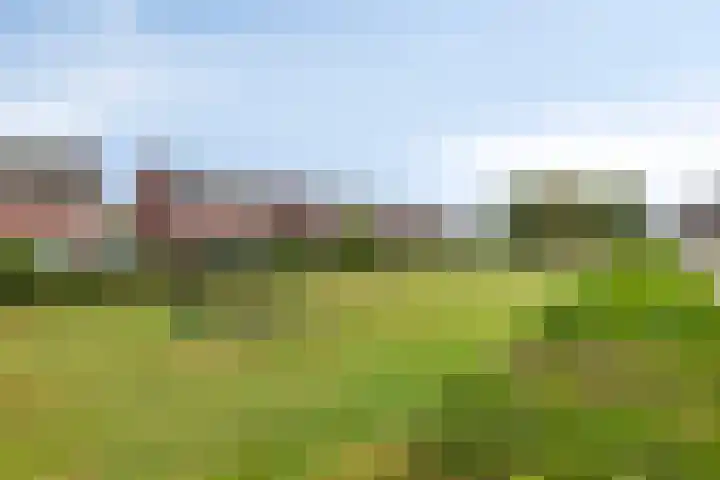 Broenshofweide 10 Helmond thumbnail 57
