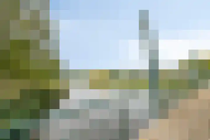 Broenshofweide 10 Helmond thumbnail 58