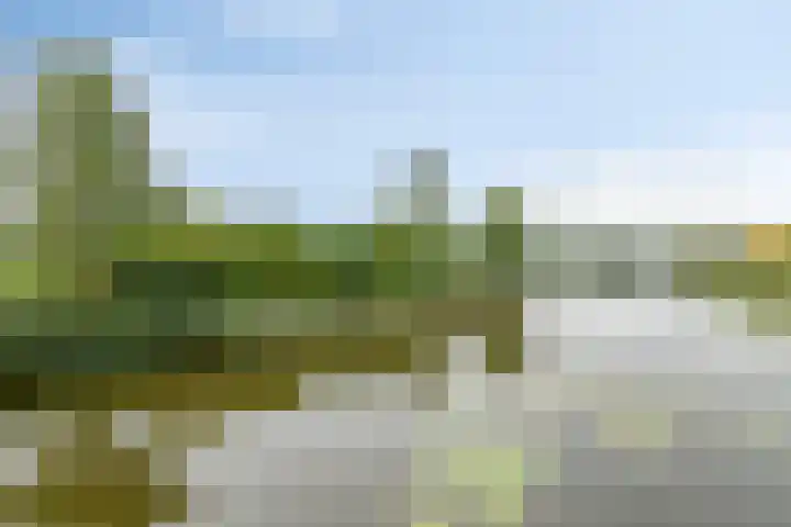 Broenshofweide 10 Helmond thumbnail 59