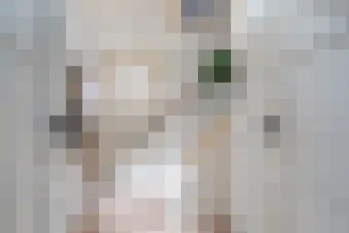 Broenshofweide 10 Helmond thumbnail 6