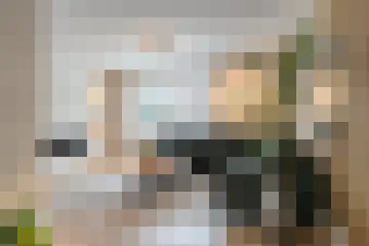 Broenshofweide 10 Helmond thumbnail 9