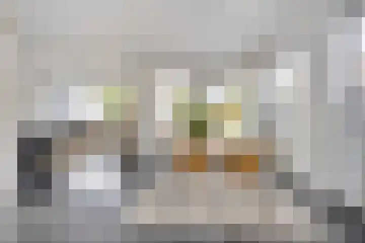 Broenskuil 16 Herten thumbnail 10