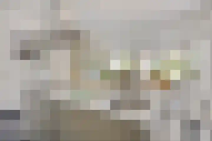 Broenskuil 16 Herten thumbnail 13