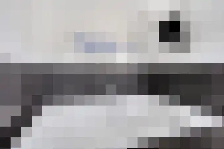 Broenskuil 16 Herten thumbnail 21