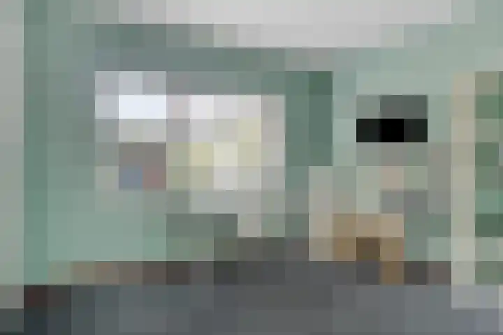 Broenskuil 16 Herten thumbnail 25