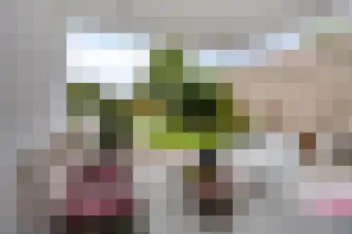 Broenskuil 16 Herten thumbnail 29