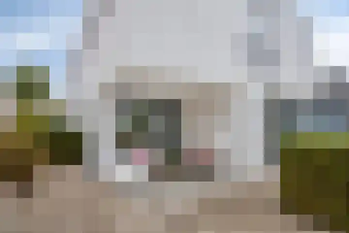 Broenskuil 16 Herten thumbnail 30