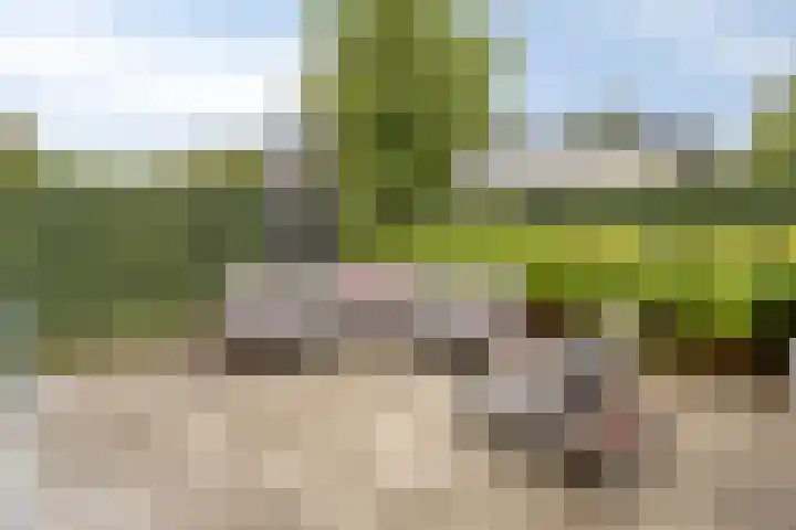 Broenskuil 16 Herten thumbnail 34