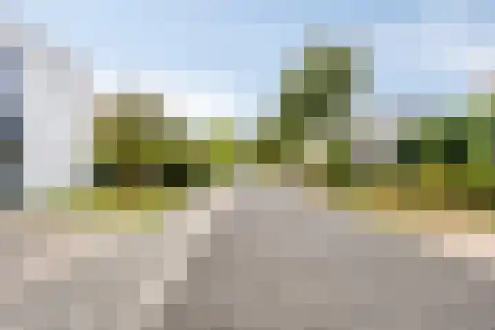 Broenskuil 16 Herten thumbnail 39