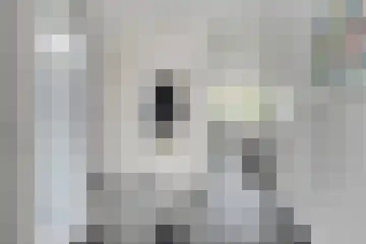 Broenskuil 16 Herten thumbnail 4