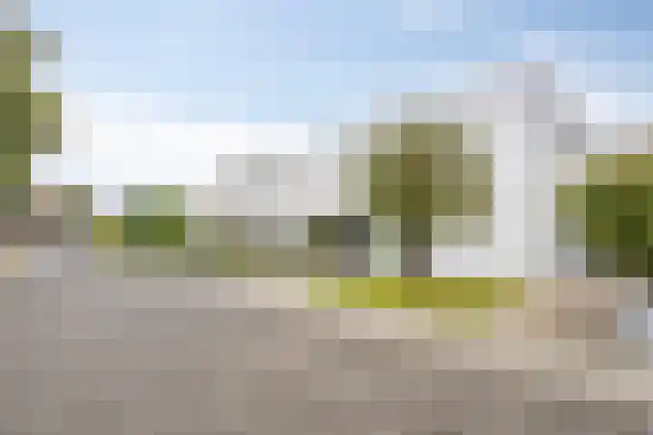 Broenskuil 16 Herten thumbnail 40