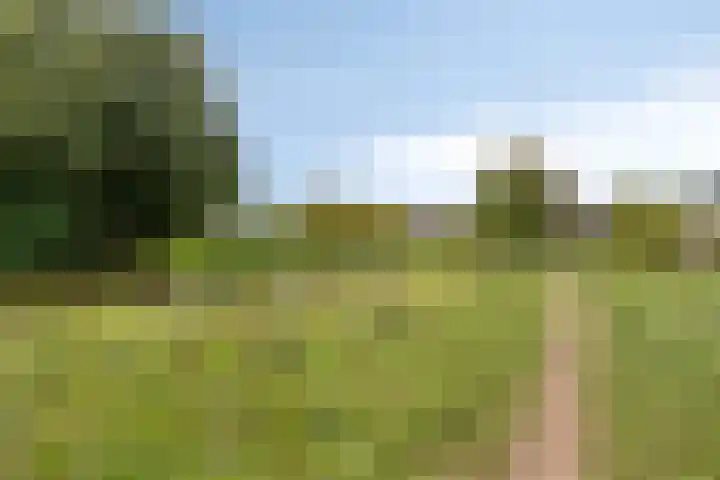 Broenskuil 16 Herten thumbnail 41