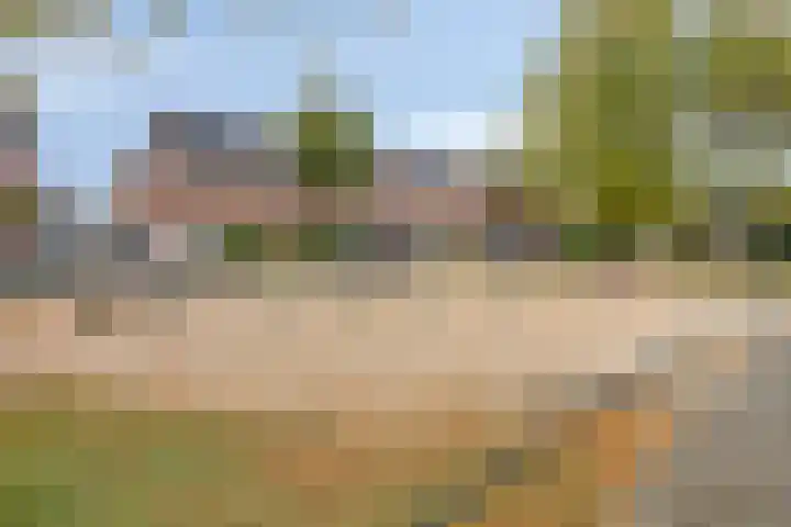Broenskuil 16 Herten thumbnail 42