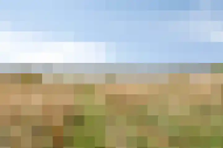 Broenskuil 16 Herten thumbnail 43